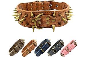 The Mighty Large Spiked Studded Dog Collar: Unmatched Protection & Style
