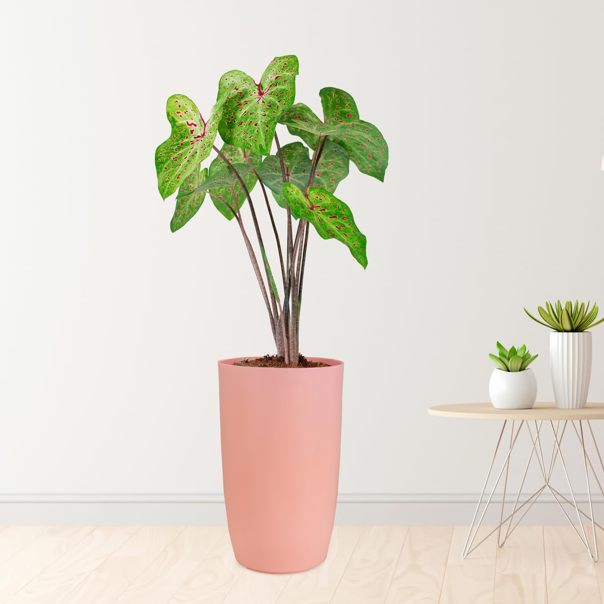 GTB Emerald Tower 18 INCH Plastic Planter/GAMLA/Flower POTS Outdoor/Indoor POTS(Plant NOT Included) (B0D4JRJBJJ) Amazon Price History, Amazon Price Tracker
