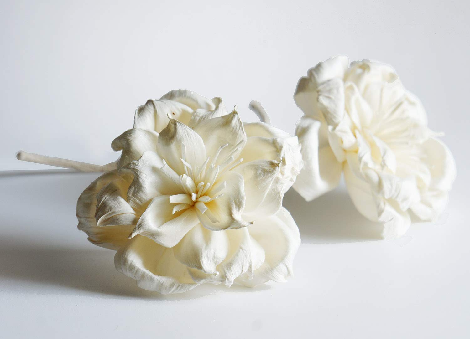Plawanature Set of 2 Magnolia 7.5 cm Sola Flower with Rope Diffuser for Aroma Oil.