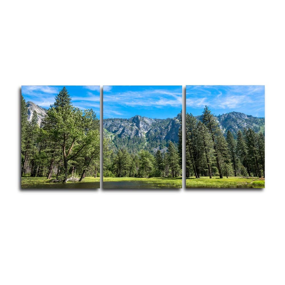 Affiches imprime nordique arbre vert et tableau nature salon