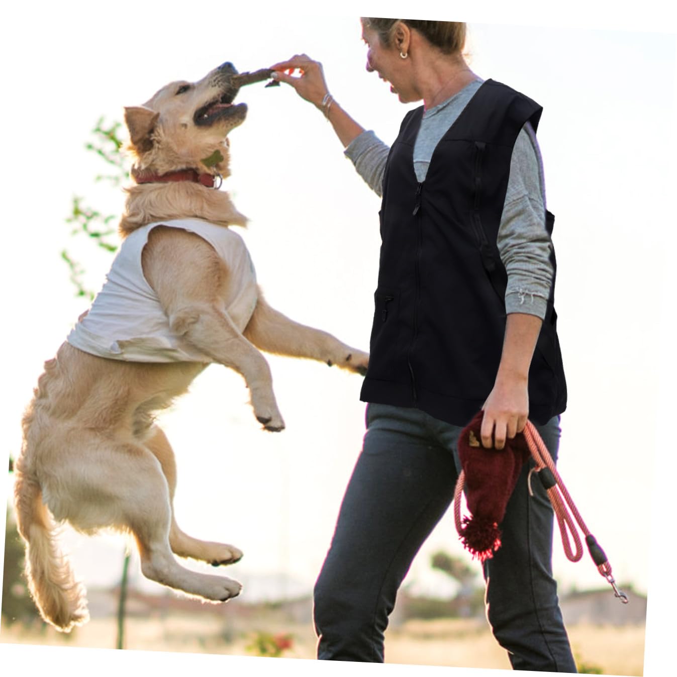 Hunde-schutzweste mit Reißverschlusstaschen und Fronttaschen Atmungsaktive und Wasserabweisende Gehorsamkeitsweste für Hundehalter