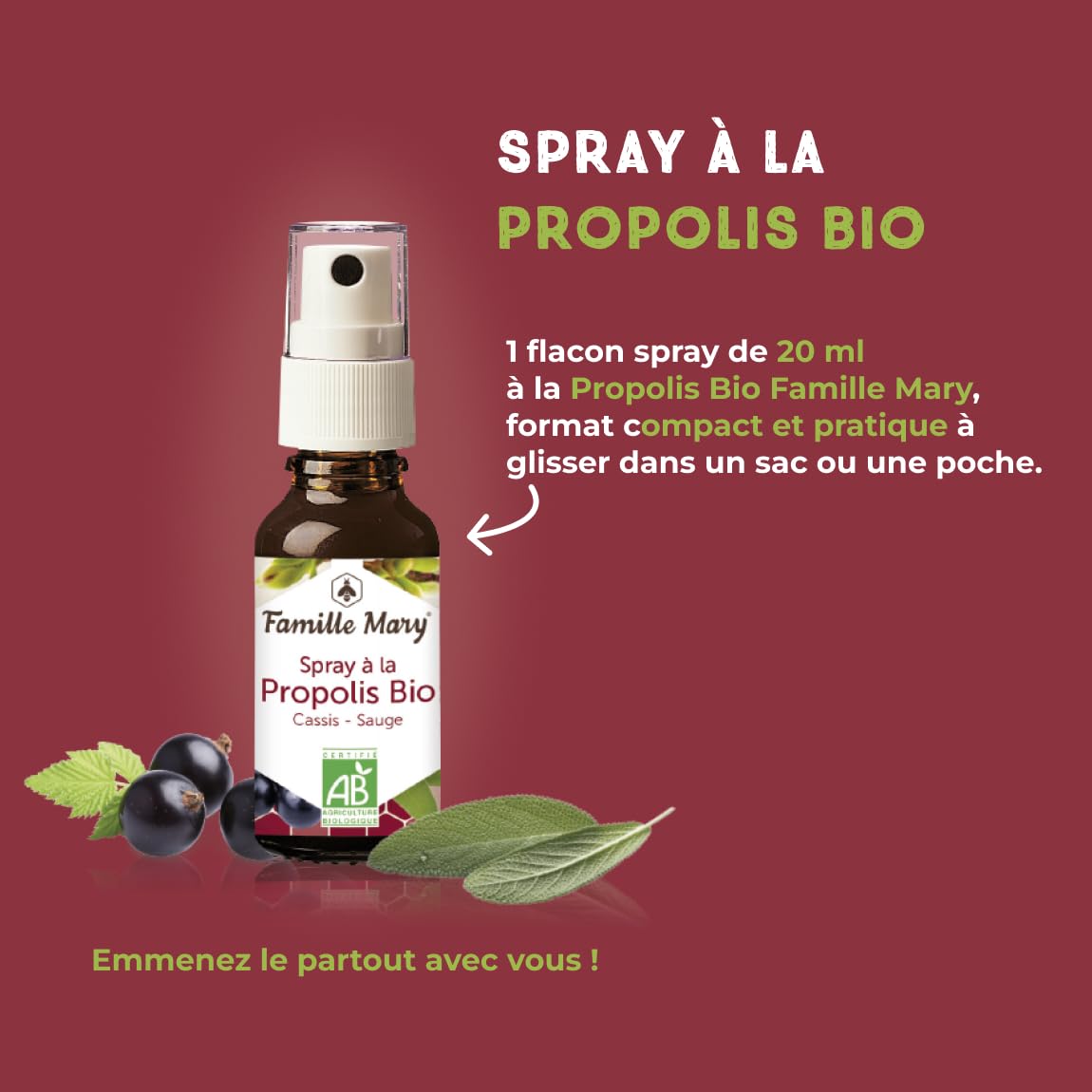FAMILLE MARY | Spray à la Propolis Bio | Hygiène Buccale & Bien-Être de la Gorge | Sans Colorant | Flacon Spray Pratique pour Usage Quotidien | 20 ml