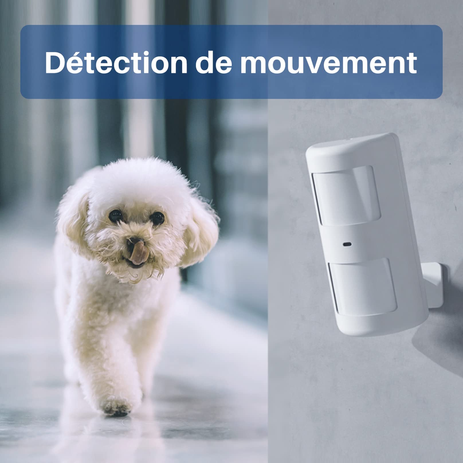 Chuango CG-105S - Sirène Intérieure - Système d’Alarme Antivol - Panneau Principal avec Détecteurs de Mouvements, Ouverture de Porte et Fenêtre - Télécommandes - Lumière Stroboscopique Clignotante