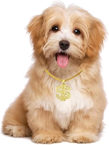 Miniatura 7 de FUNKA Collar de perro con cadena dorada ajustable de eslabones cubanos con colgante de signo de dólar de cristal, cadena de joyería para mascotas,