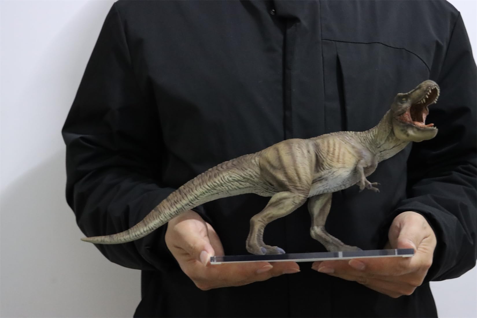 AMITD Figura de Tyrannosaurus Rex escala 1:30