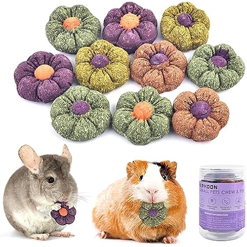 ERKOON Rabbit Chew Toys, 10PCS Timothy Grass Treats Small Animal Molar Toys for Guinea Pig Hamster Bunny Chinchilla Gerbil, Handmade Rabbit Chews and Treats Cover