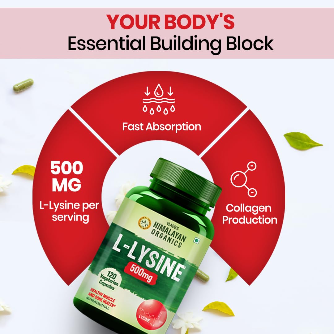 Vlado’s Himalayan Organics L-Lysine 500mg Essential Amino Acid Supplement For Men And Women | Supports Membrane Health | Support Immune System | Endurance Improvement & Weight Loss - 120 Veg Capsules 2