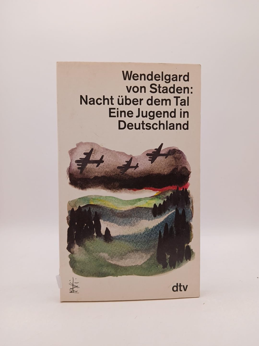 Nacht über dem Tal: Eine Jugend in Deutschland