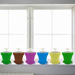 25 Packs Cupcake Plant Nursery Pots with Humidity Dome - 3" Flower Pots with with Lids & Trays - Planting Containers Cups for Indoor Outdoor Plant Succulent Display (Mixed Color)