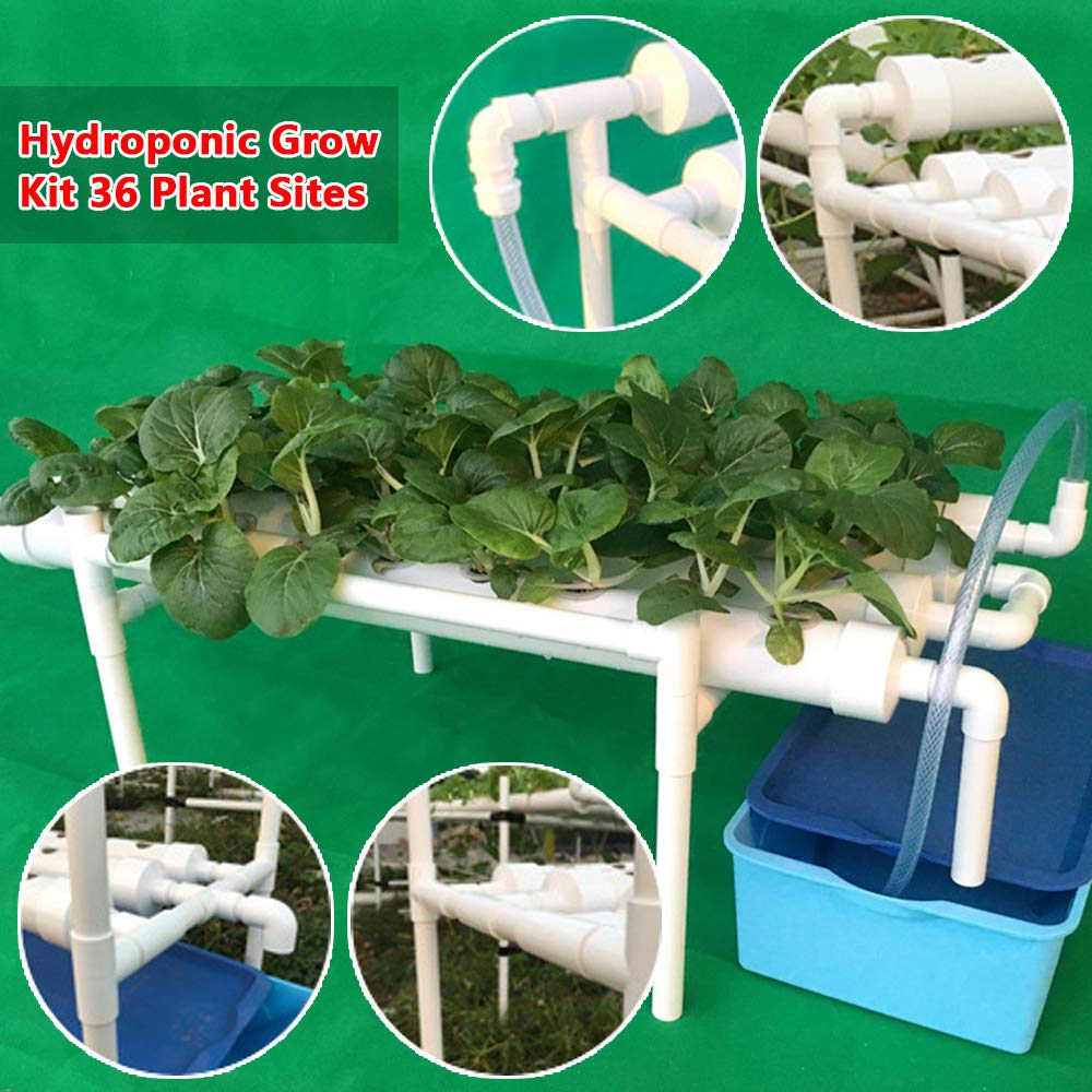RANZIX Hydroponics Système de Culture avec 36 emplacements pour Plantes, 1 Couche, système de Culture hydroponique pour Herbes, Fruits et légumes (A-36 Trous)