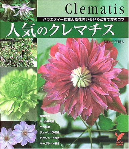 人気のクレマチス バラエティーに富んだ花のいろいろと育て方のコツ セレクトbooks 金子 明人 本 通販 Amazon 人気のクレマチス バラエティーに富んだ花のいろいろと育て方のコツ セレクトbooks 金子 明人 本 通販 Amazon