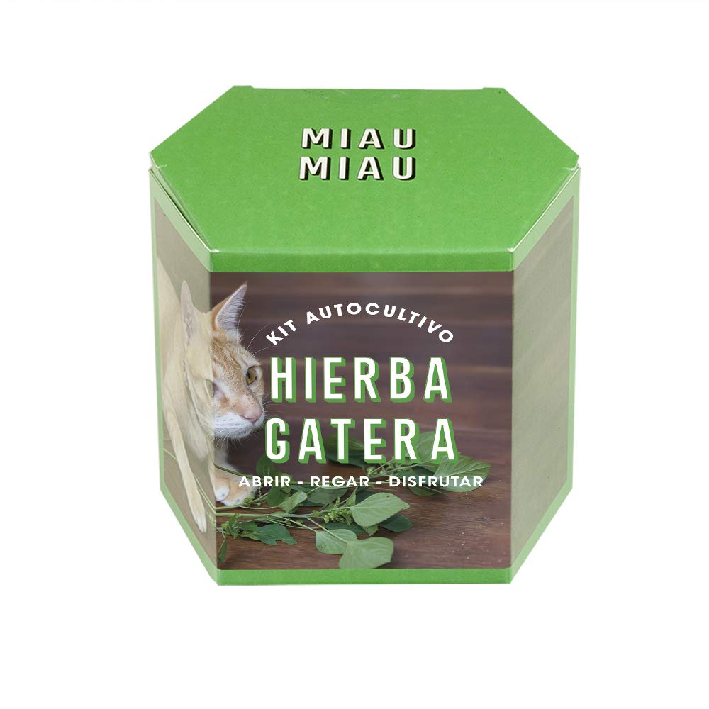 Resetea, Kit autocultivo, Hierba Gatera (1)