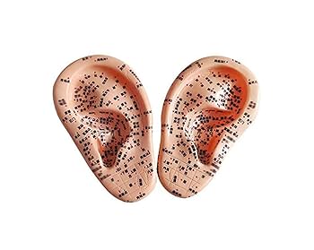 謎のツボ fb4c515c1572c7772312f08e50e73f