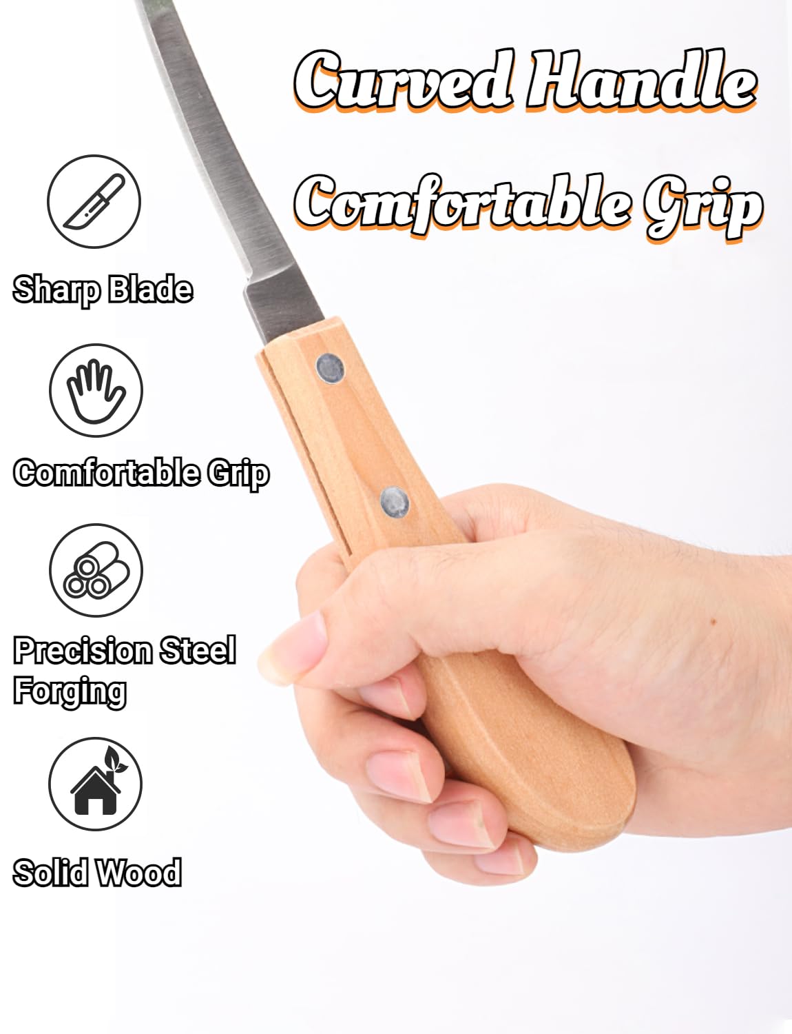 14 Pouces Lime À Sabots Cheval, Lime De Fer A Cheval, Outils De