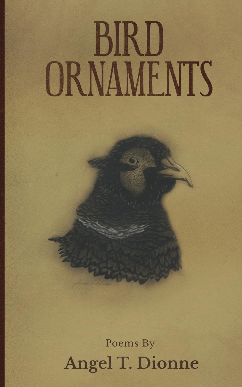 Cover of Bird Ornaments