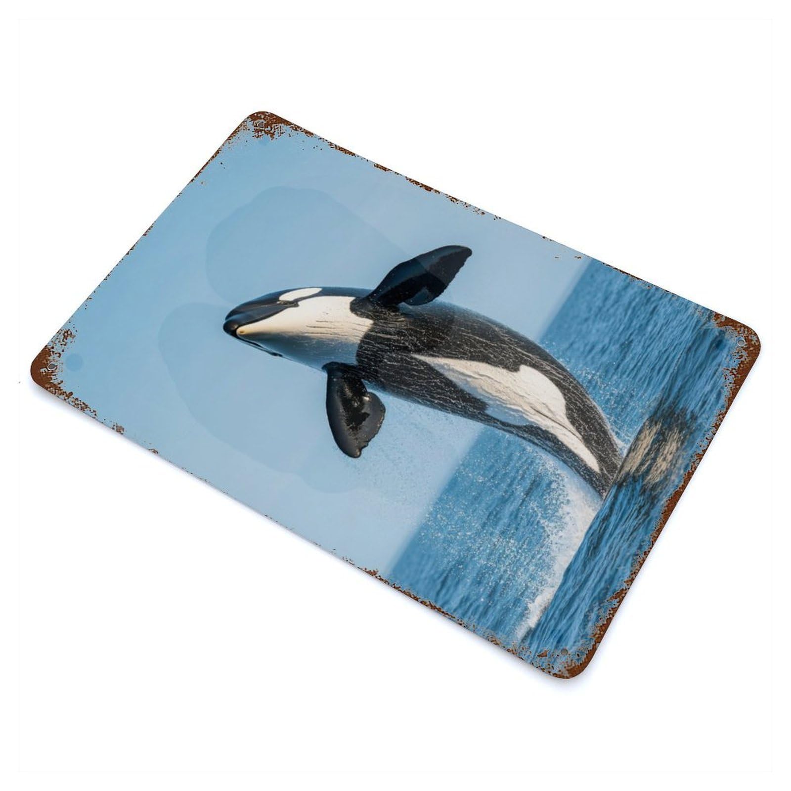 Orca Whale Jump Out Water 11.8"x7.9" Distressed Metal Wall Sign, Shabby Chic Decor for Office, Studio And Wall Decor