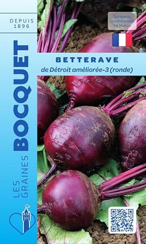 Sachet de graines de Betterave de Détroit améliorée 3 (Globe) - 7 g - légume racine - LES GRAINES BOCQUET