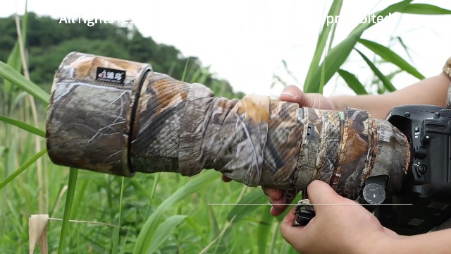 CHASING BIRDS Camouflage-Objektivschutz Für Olympu Produktbild-Vorschau 6