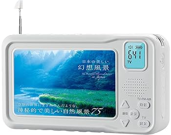 ワンセグ 4.3インチ 多機能ポータブルテレビ(3way電源) tv07-a01ks.jpg?fitin=272:272