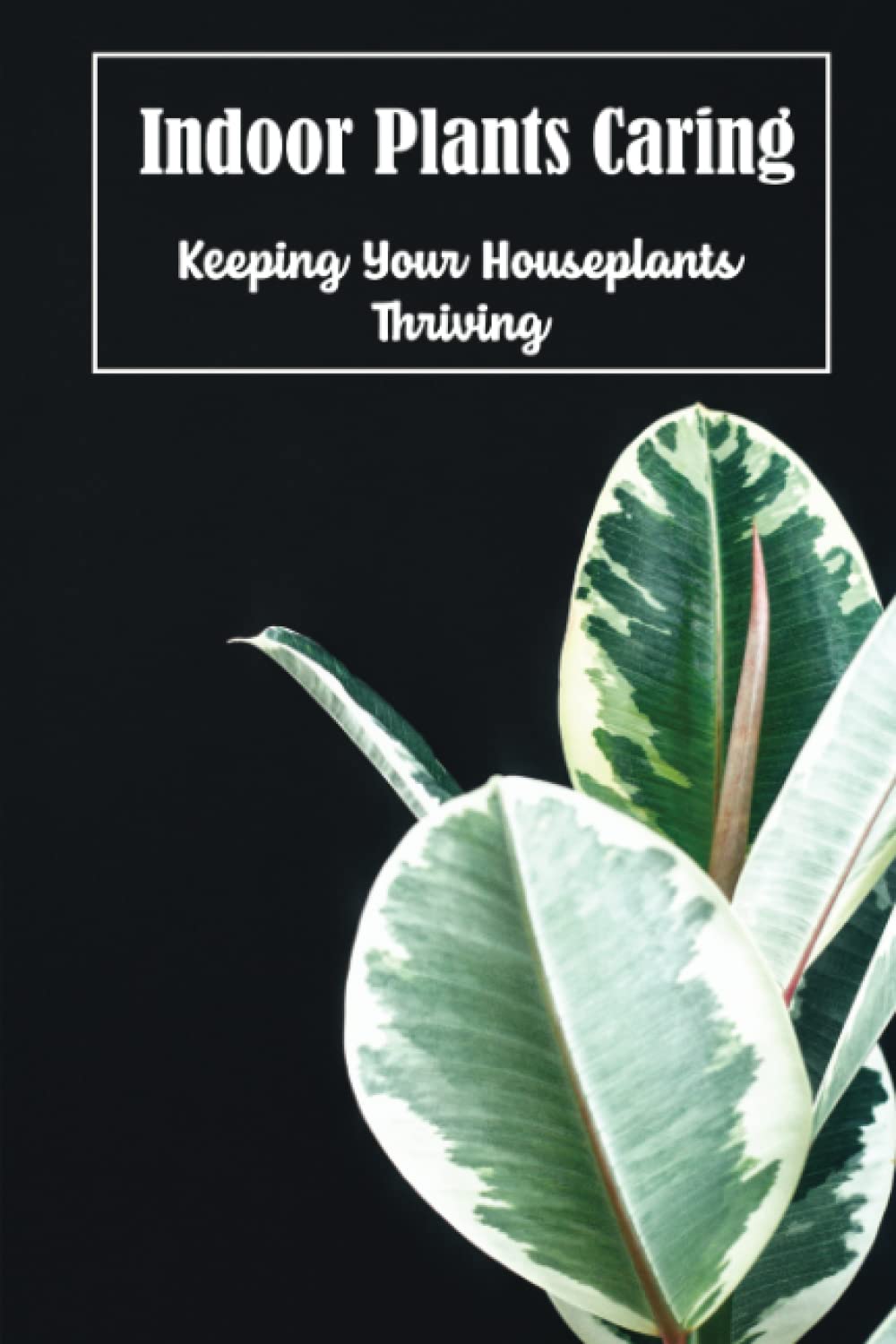 Indoor Plants Caring: Keeping Your Houseplants Thriving