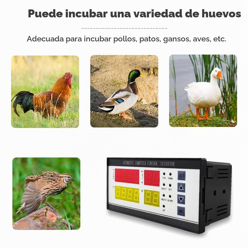 Sistema de control automático para la máquina incubadora de huevos y la máquina de control de temperatura y humedad Fahrenheit