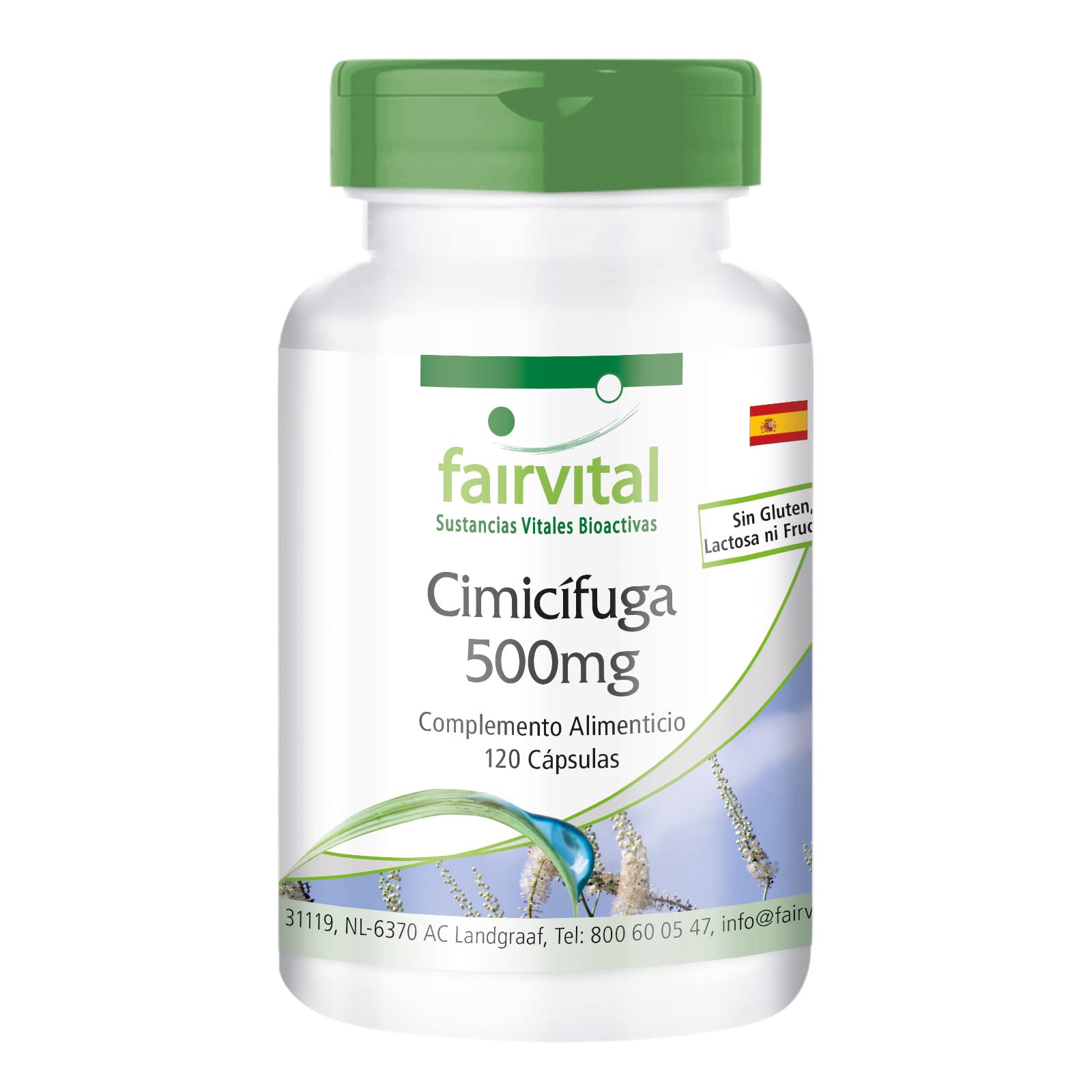 fairvital Cápsulas de cimicífuga 500mg, 120 cápsulas, 1000mg por dosis diaria, Cimicifuga, calidad certificada y alta dosis, 100% vegano, fabricado en Alemania