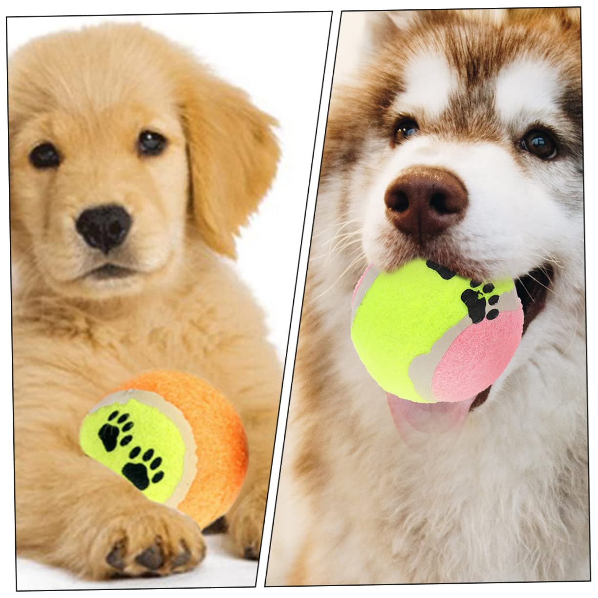 Happyyami Hundetraining 16 Stück Hundespielzeuge Für Den Robusten Innen- Und Außenbereich Zufällige Farbe