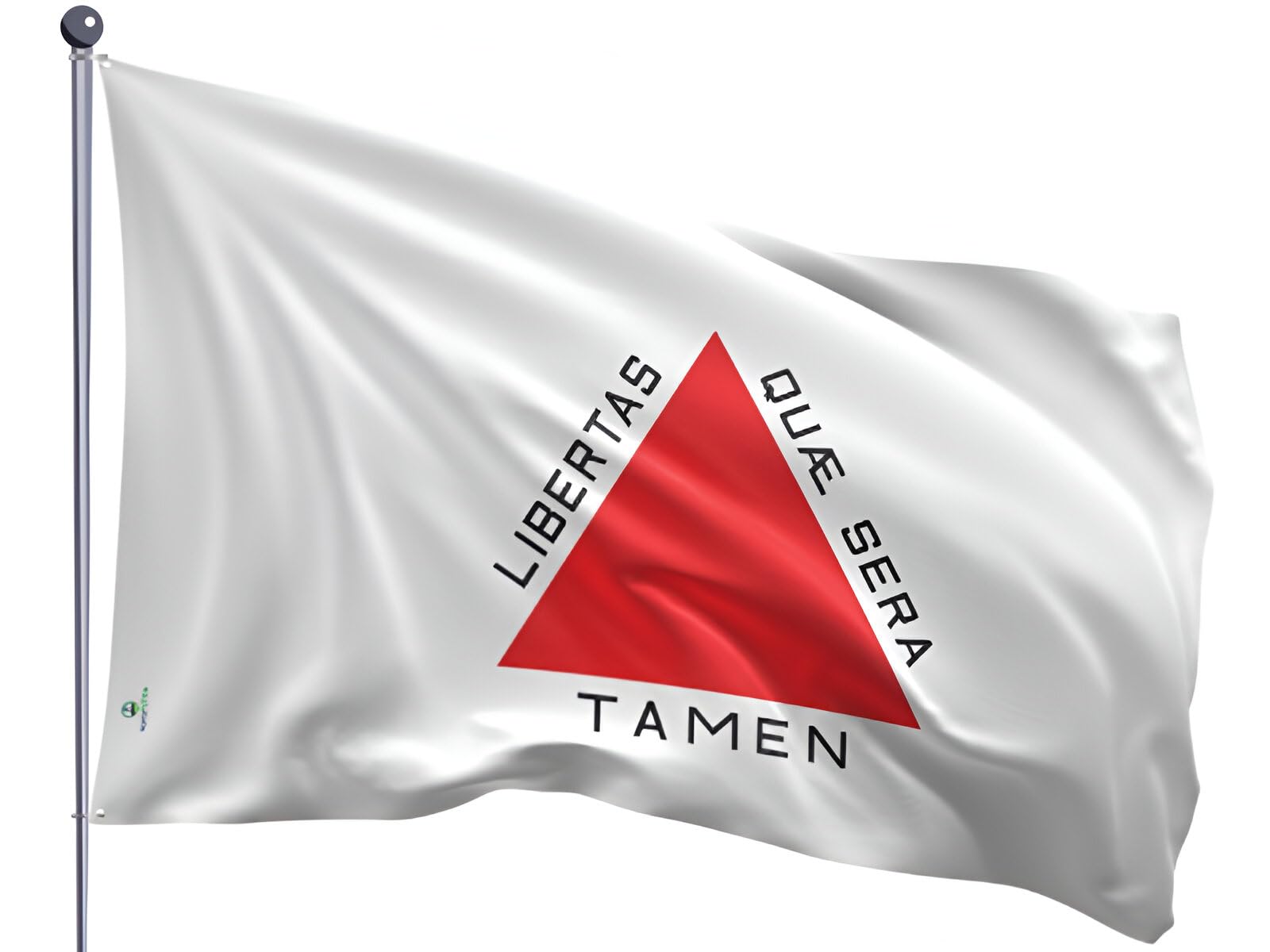 Bandeira Minas Gerais Estampada uma face - 0,70X1,00m : Amazon.com.br: Moda