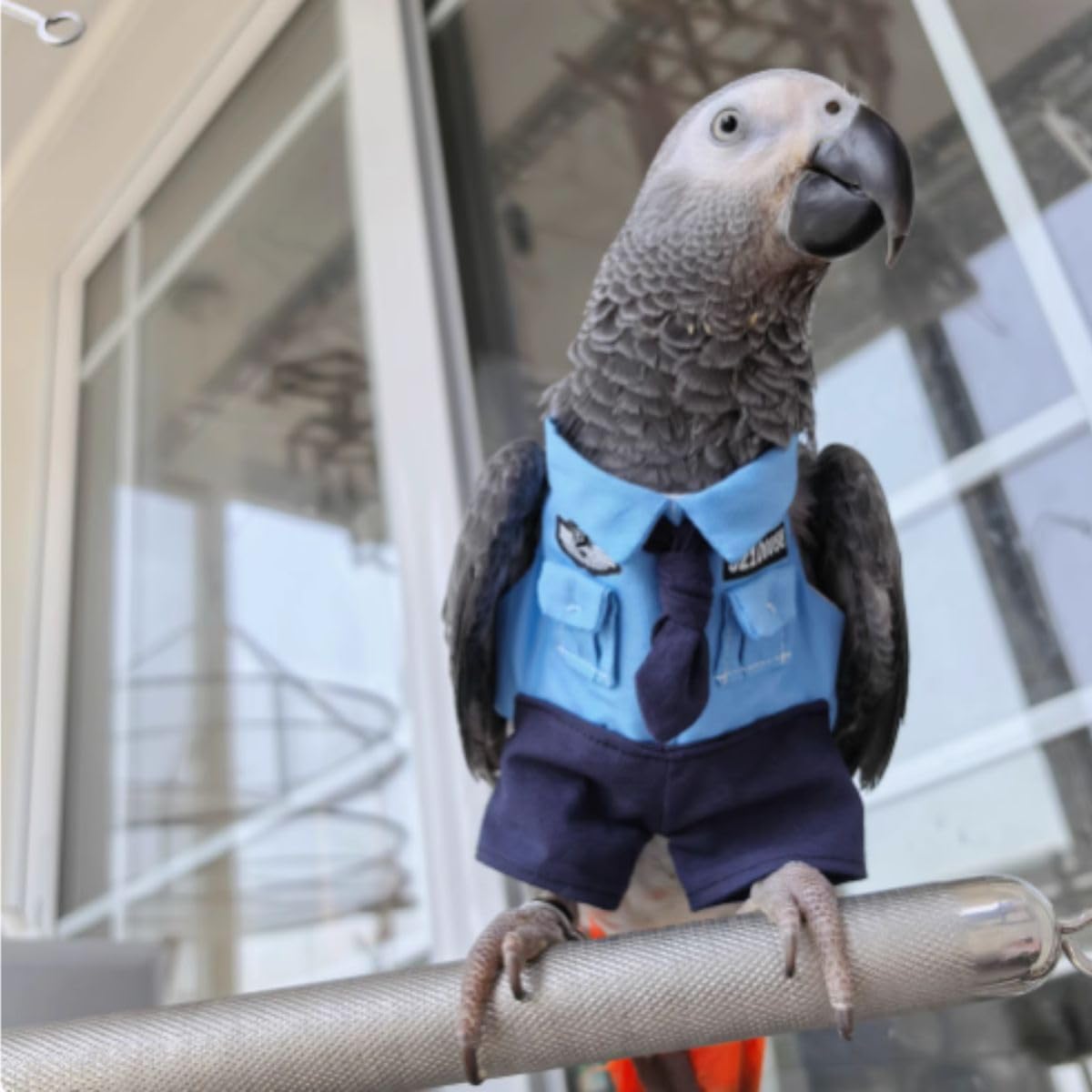 Cute Bird Clothes Cool Christmas Party Birthday Costume for Halloween Pet Birds Clothes Parrot Cosplay Outfit for Lovebird Macaw Conure Cockatoo African Grey (Macaw)