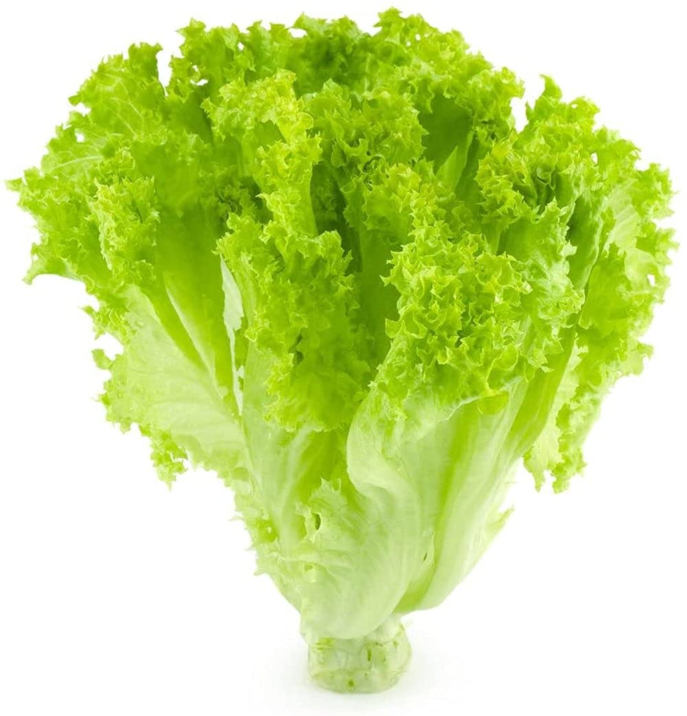 10pcs graines de laitue pur Naturel vert légumes Couleurs Vives décoration Cour Pour Jardin extérieur Ferme Plantation variété