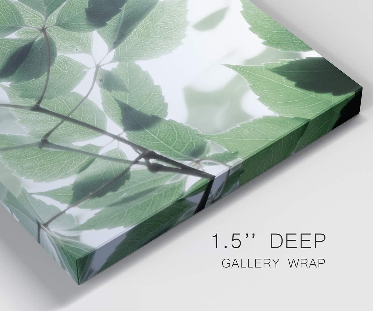 Floral Wall Décor, Wall Art Canvas, Geometric, Abstract, Transitional, & Country Chic Style, Ready to Hang - Fields of Green II 18X27