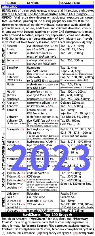 Medcharts - Top 200 Drugs Review (Laminated)