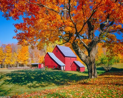 Vermont Autumn Rustic Barn DIY Digital Oil Painting Set Acrylic Oil Painting Arts Craft Paint by Number Kits for Adult Beginner Wall Decor 16x20in