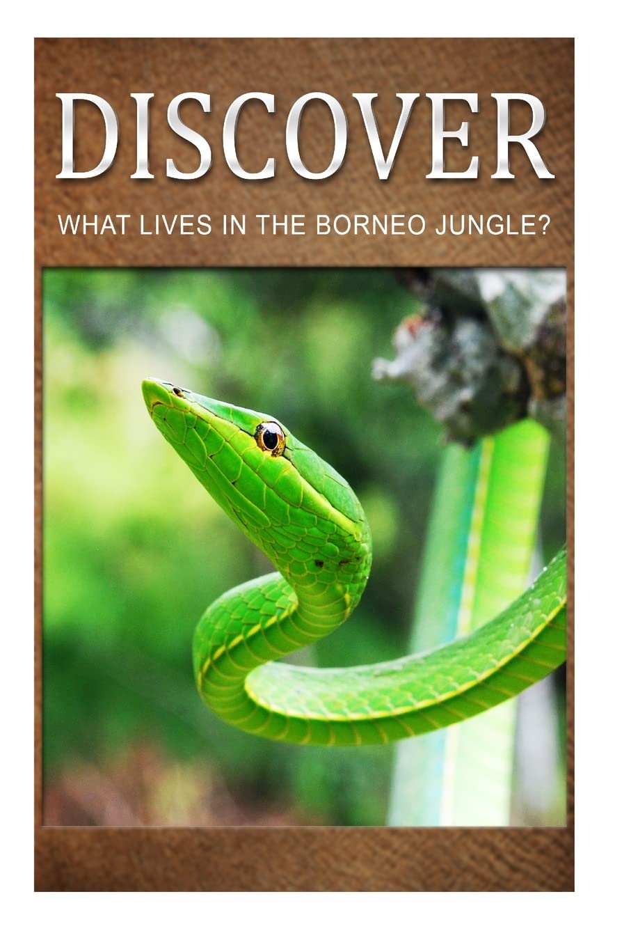 What Lives in the Borneo Jungle? - Discover: Early reader's wildlife photography book