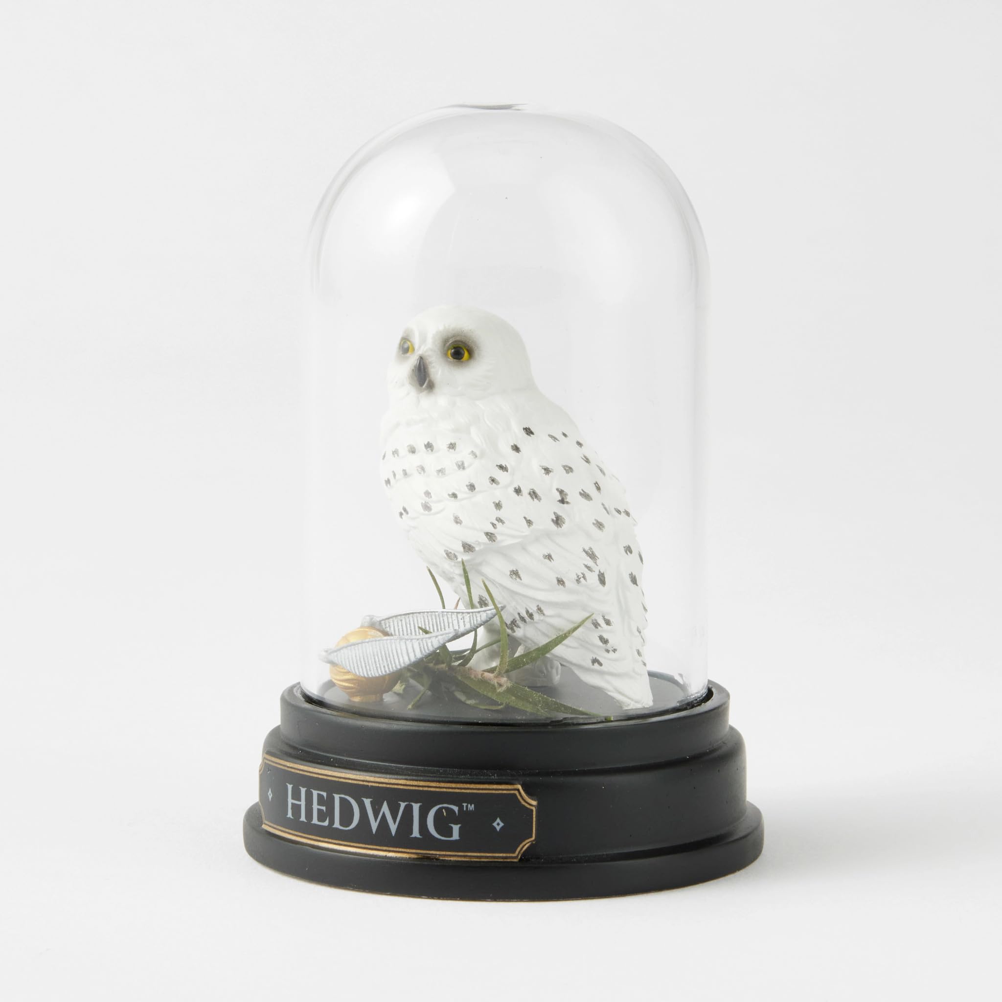 Amazon.com: Enesco The Wizarding World of Harry Potter Hedwig The