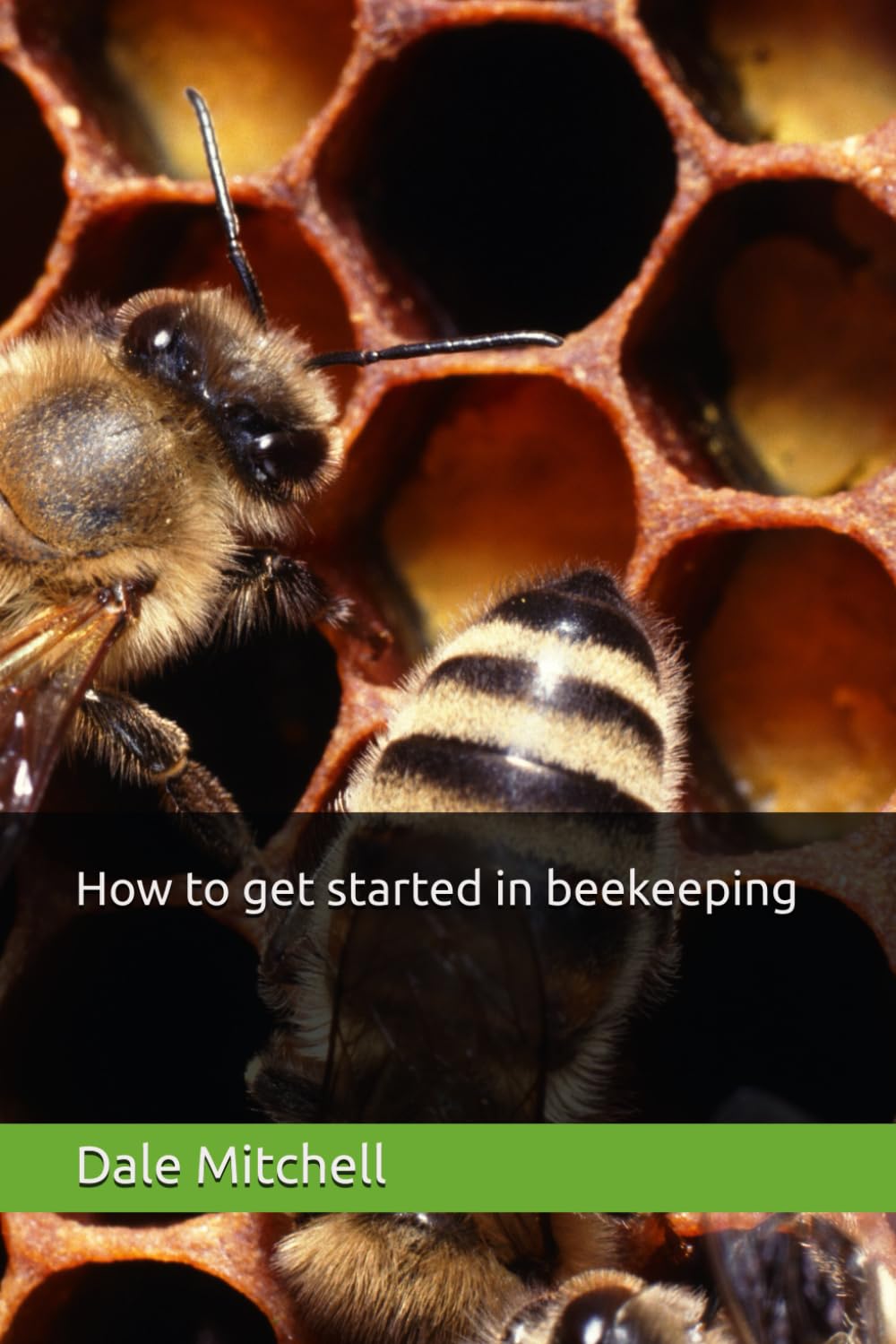 How to get started in beekeeping