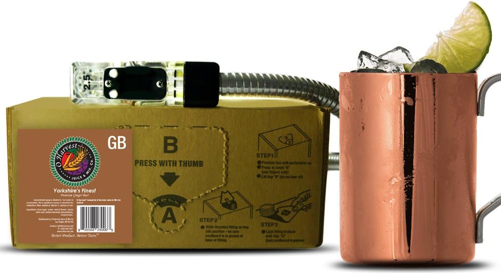 Bar Beverages Yorkshire's Finest Craft Ginger Beer (3 Gallon Bag-in-Box Syrup Concentrate) - Box Pours 18 Gallons of Ginger Beer - Use with Bar Gun, Soda Fountain or Home Beverage System