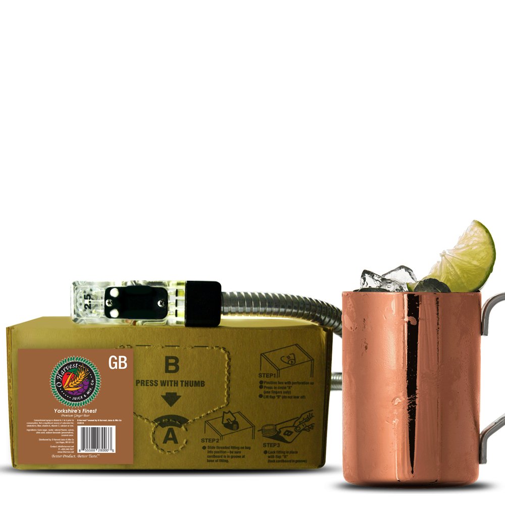 Bar Beverages Yorkshire’s Finest Craft Ginger Beer Syrup Concentrate – 3 Gallon Bag in Box (BIB) – Makes 18 Gallons – Premium Cocktail & Soda Fountain Mixer for Bars & Home Use