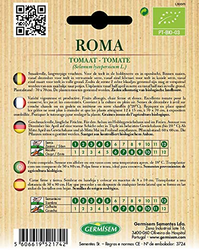 Germisem ECBIO8011 Organisch Roma Tomaat Zaden 0.5 g - Afbeelding 3