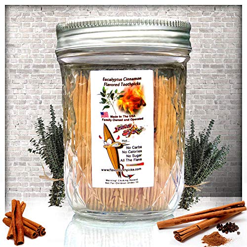 600 Eucalyptus Cinnamon Flavor Natural Wooden Toothpicks in Glass Jar with Lid  Use to Quit Smoking and Freshen Breath After Food and Drink  An Alternative to Gum, Mints and Cigarettes