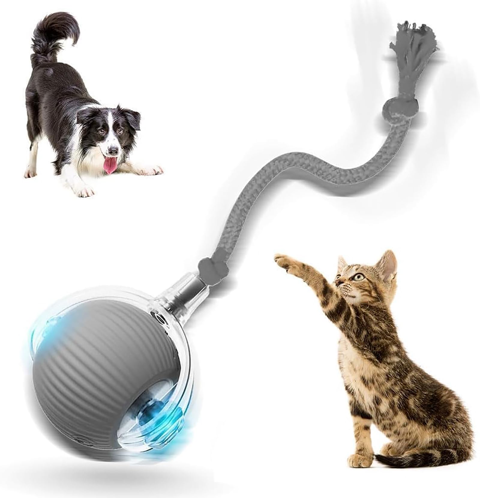 2026 New Self Rolling Dog Ball Interactive Cat Toys Automatic Cat Toy Self Moving Dog Toys Interactive Rolling