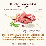 Ver la foto 4