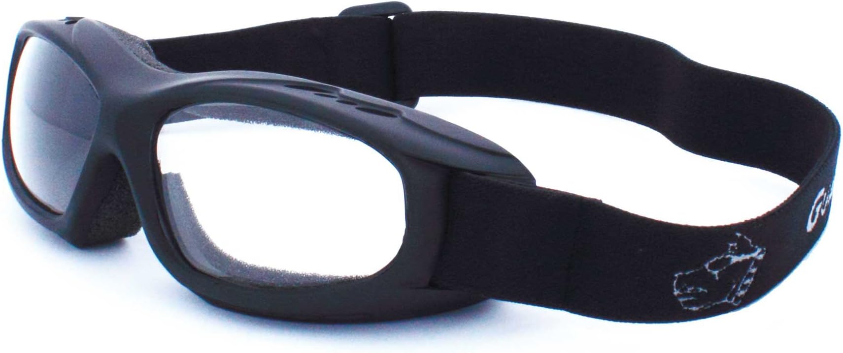 GuardDogs Goggles, Evader 2 Matte Black (Clear w