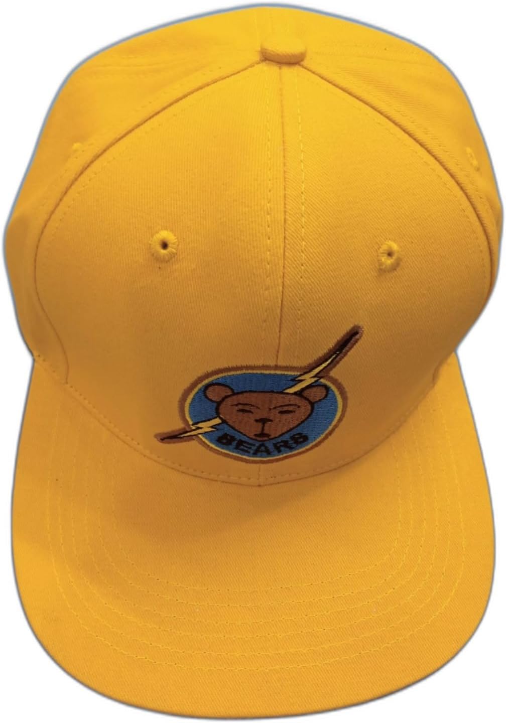 Baseball Sewn hat Bail snap Back Teddy New