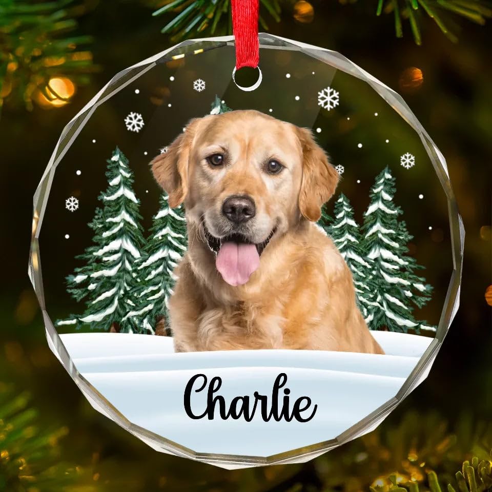 DOPTIKA Custom Photo Christmas Ornaments 2024, Personalized Circle Glass Ornaments, Birthday Gifts for Dog and Cat Lovers, Pet Ornament