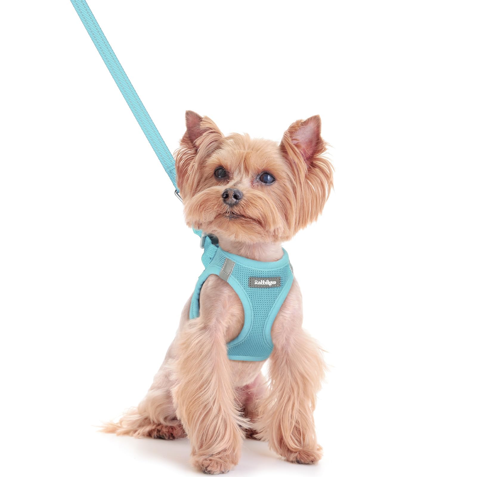 rabbitgoo Dog Harness Small Dog and Leash Set, Step-in Soft Mesh Puppy Harness with Reflective Strips, Lightweight Breathable Pet Vest for Walking Training, Mint Blue, XXS