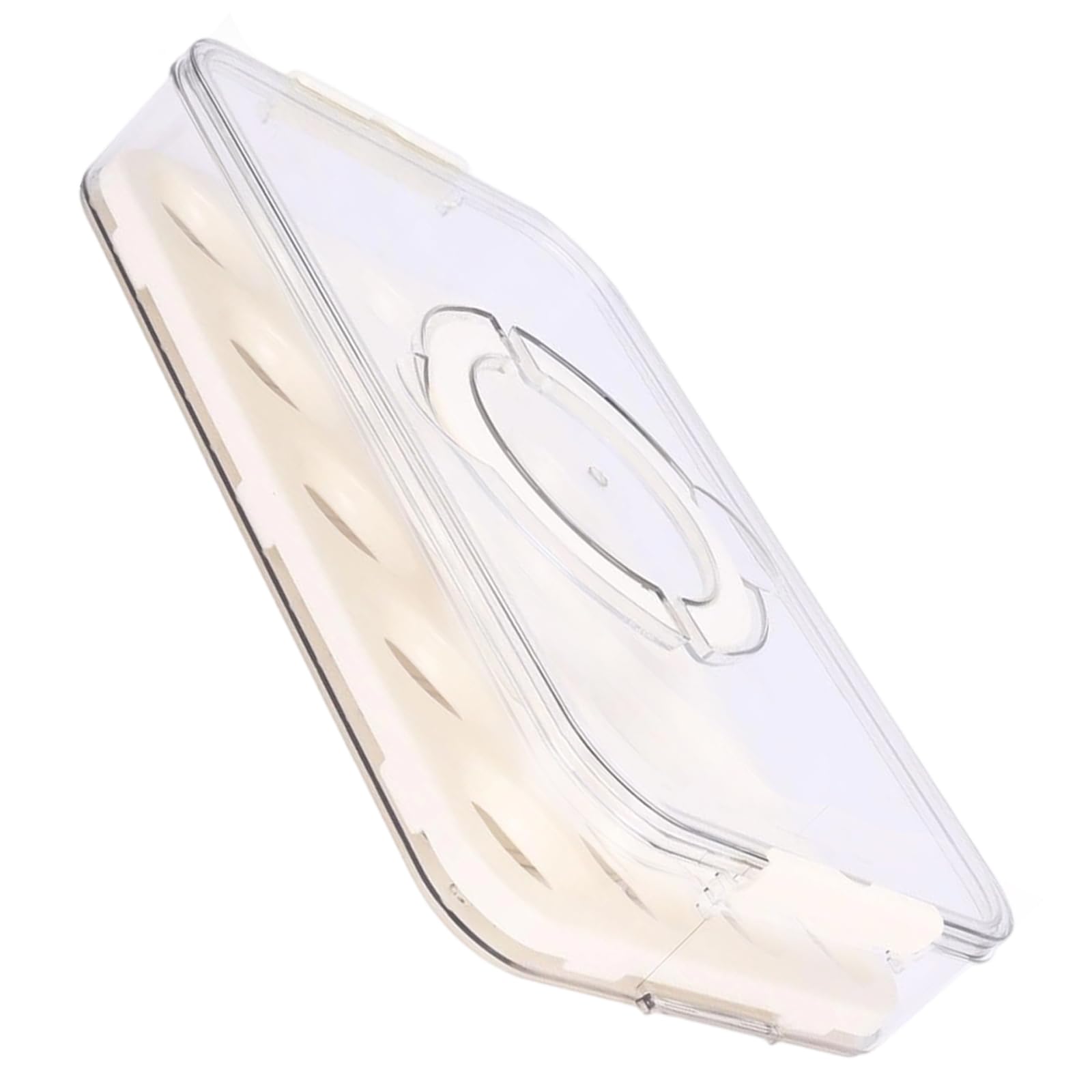 HDOYTXXM Large Capacity Kitchen Oocyte Holder Stackable Two Layer for 40 Embryos with Locking Lid Food Safe Easy Neat Clear Plan SealedLidBox