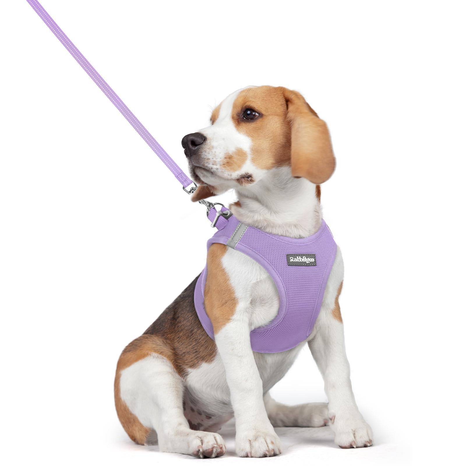 rabbitgoo Dog Harness Small Dog and Leash Set, Step-in Soft Mesh Puppy Harness with Reflective Strips, Lightweight Breathable Pet Vest for Walking Training, Light Purple, L