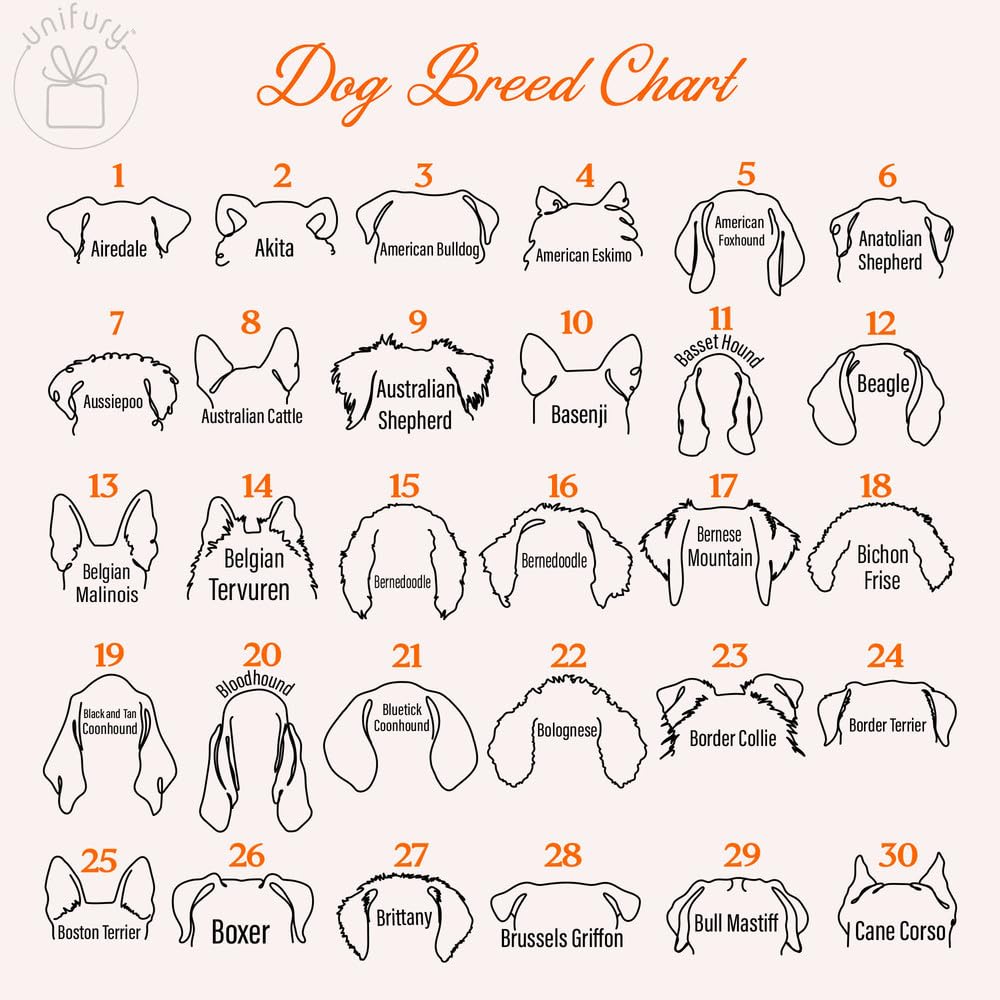 UNIFURY Collar Frame Style 1