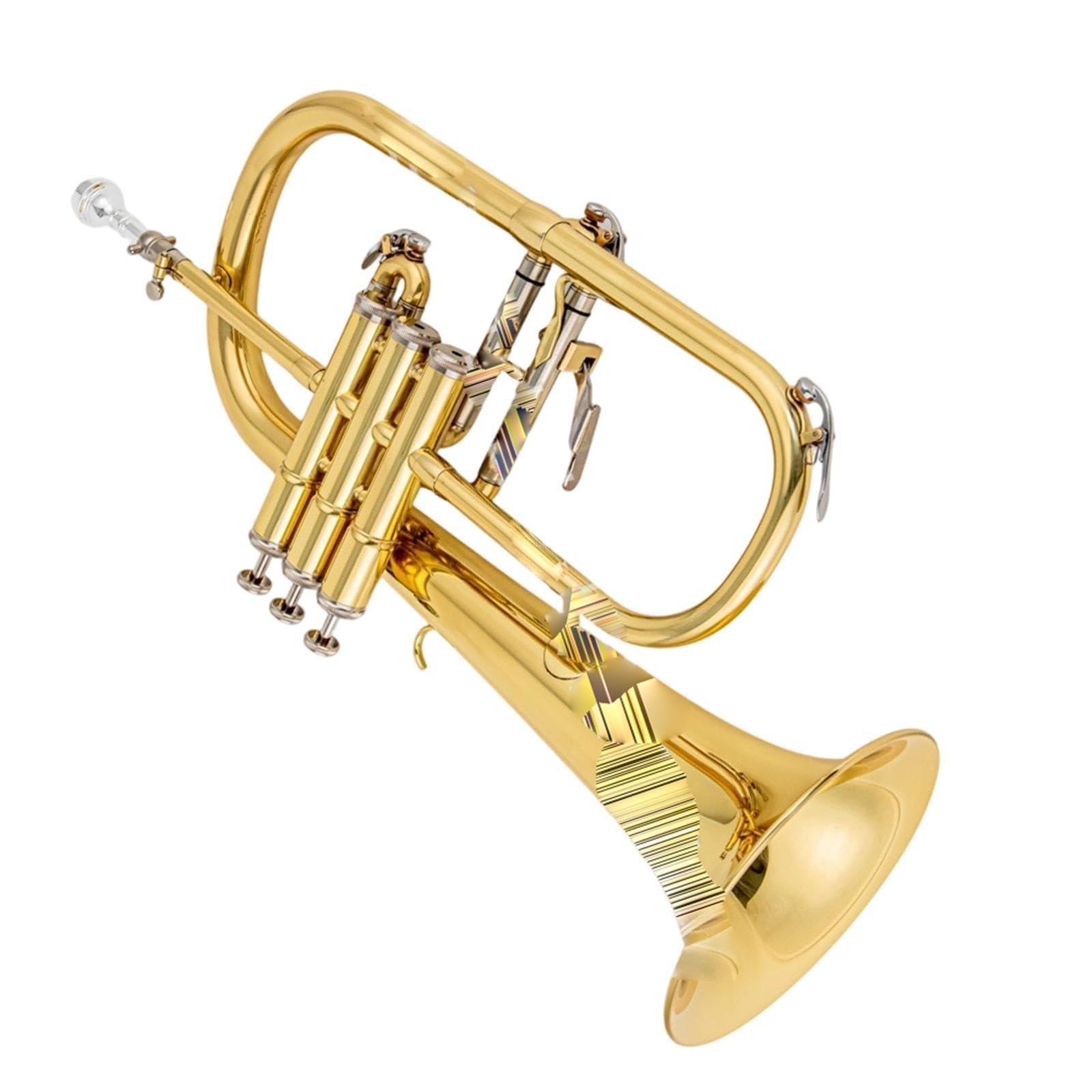 Standard Trumpet Trąbka Bb dla początkujących